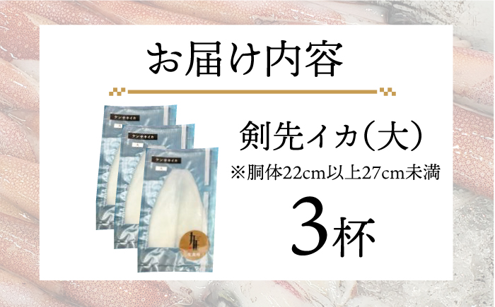 剣先イカ 刺身（大）3杯《壱岐市》【株式会社マルショウ】[JEW004] いか イカ 冷凍 剣先いか いかさし 海産物 魚介 刺し身 18000 18000円