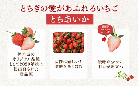 【先行予約】いちご 270g 4パック (2月発送) | いちご 苺 ※2027年2月～発送