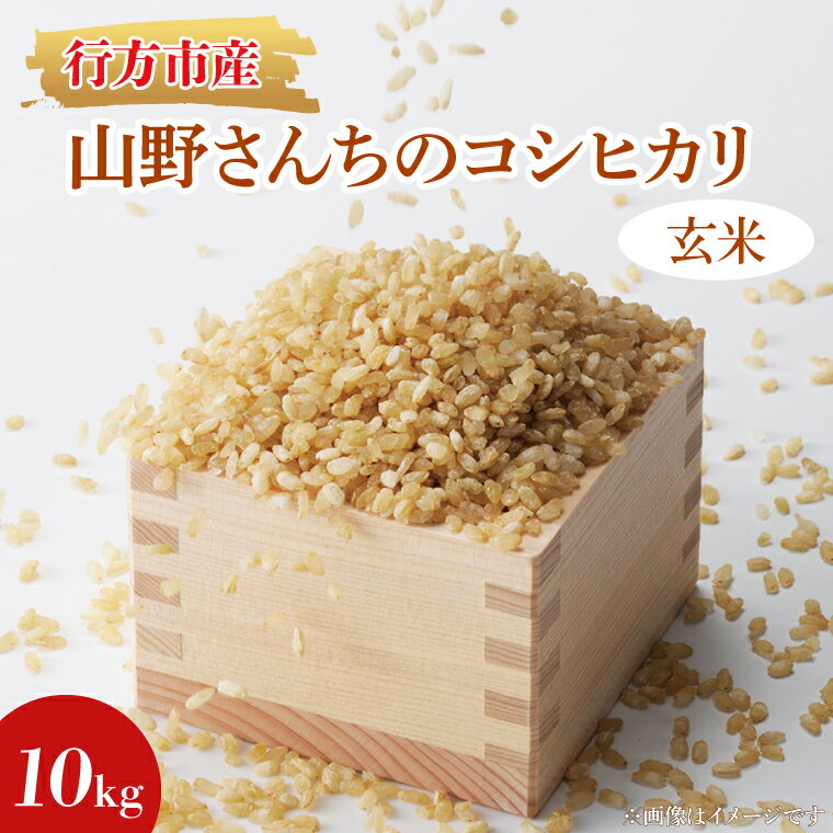 【ふるさと納税】★令和7年度産★山野さんちのコシヒカリ 10kg(玄米)｜米 お米 こめ こしひかり コシヒカリ 令和7年産 R7年産 新米 玄米 茨城県 行方市(BR-5-1)