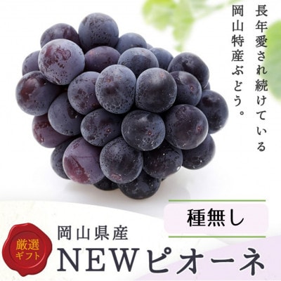 【2026年発送】岡山県産　ニューピオーネ4房(1房480g以上) 【配送不可地域：離島】