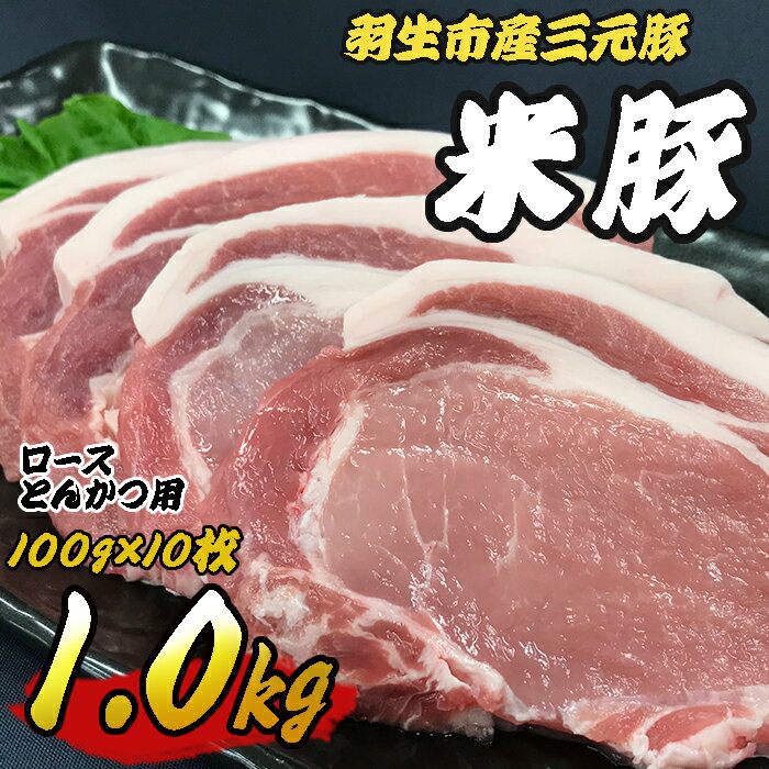 【ふるさと納税】 肉 豚肉 豚肉ロース 1kg (100g×10枚) ロースとんかつ用 とんかつ 三元豚 米豚 国産 豚 ポーク 肉 羽生市産 小分け 個包装 小袋 便利 ブランド ブランド豚 トンテキ ステーキ 精肉 まとめ買い 間中さん家 株式会社古川ミート 埼玉県 羽生市