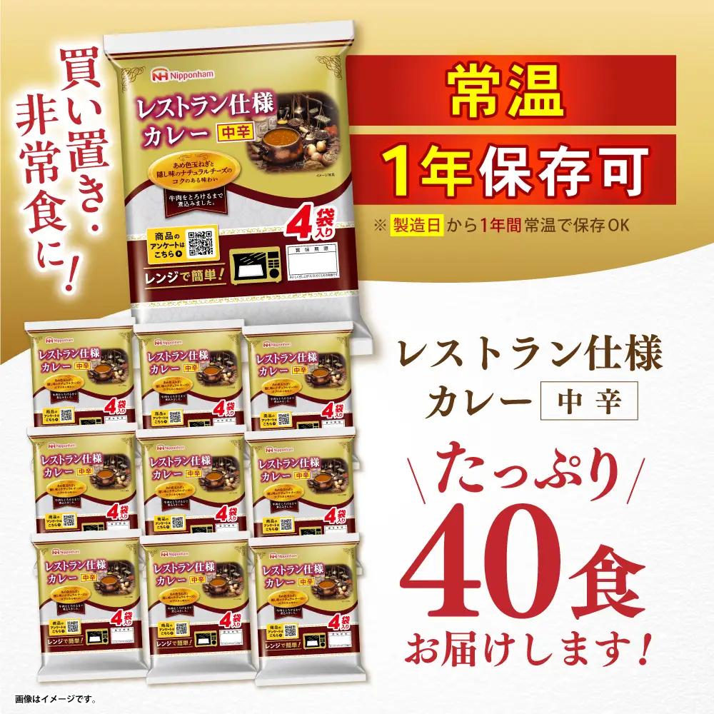 カレー中辛 40食  カレー AHAL003
