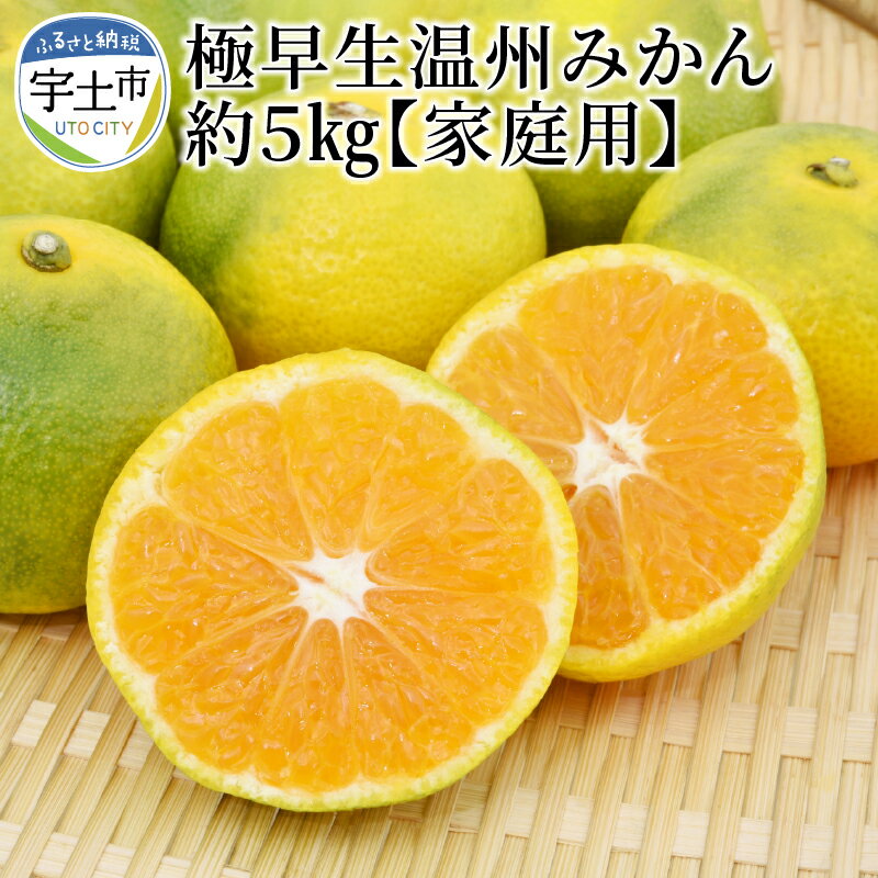 【ふるさと納税】進栄 家庭用 極早生温州みかん 約 5kg みかん 国産 柑橘 果物 果実 ビタミン 旬 フルーツ デザート ジューシー 食品 常温 九州 お取り寄せ お取り寄せフルーツ 送料無料【熊本県宇土市】