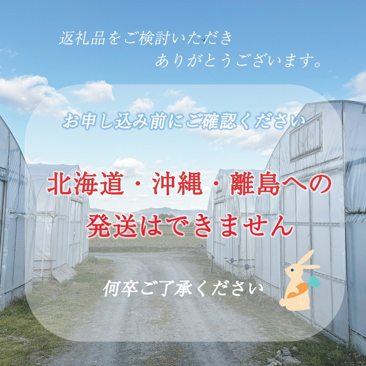 予約 野菜と米 6回 定期便 京都 佐伯の里 新鮮 旬の野菜セット 7～10品 コシヒカリ2kg 新米 定期便 6ヶ月 京都丹波・亀岡産 季節の野菜 詰め合わせ 訳あり 生活応援 ※北海道・沖縄・離島