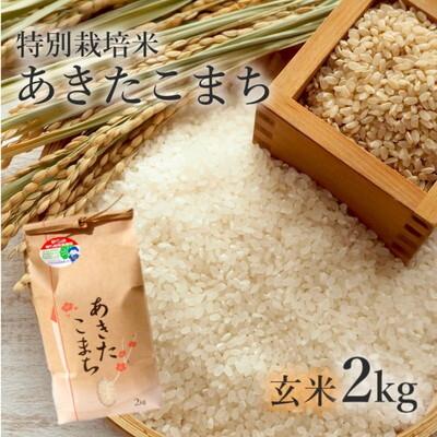 ふるさと納税 能代市 令和7年産 玄米 あきたこまち 2kg  特別栽培米[No.5335-0352]