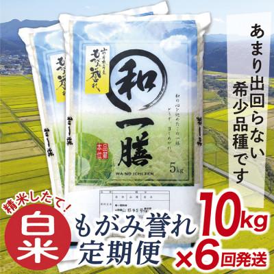 ふるさと納税 最上町 【発送月固定定期便】買い忘れなしで美味しいもがみ誉れ10kg(白米)が届く全6回