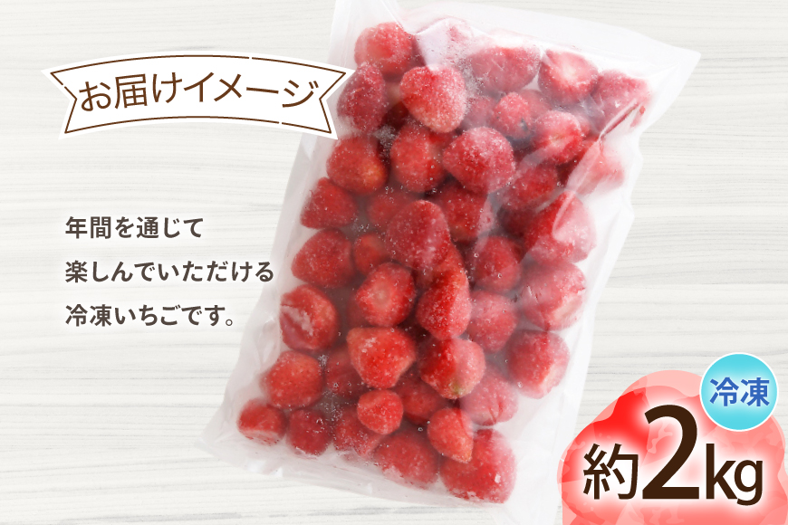 いちご 冷凍 あまおう 約2kg [地域商社ふるさぽ 福岡県 宇美町 um40bfw220008] フルーツ 果物 イチゴ 苺 くだもの ジャム シャーベット スムージー
