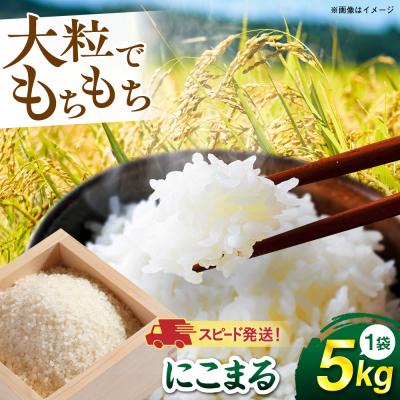 ふるさと納税 糸島市 【スピード発送】令和7年産 にこまる 玄米品質1等米 白米 5kg 糸島市産[AGR001]