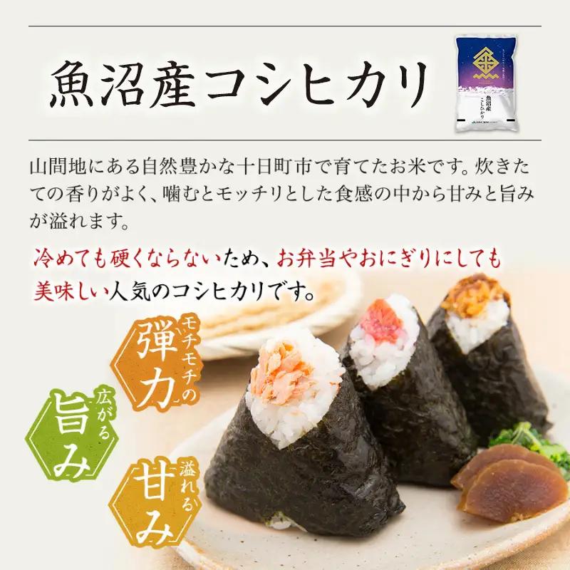 【令和8年産 先行予約】【6ヶ月定期便】特別栽培米 魚沼産こしひかり(十日町地域) 精米 10kg(5kg×2) 米 お米 コシヒカリ 定期 十日町市