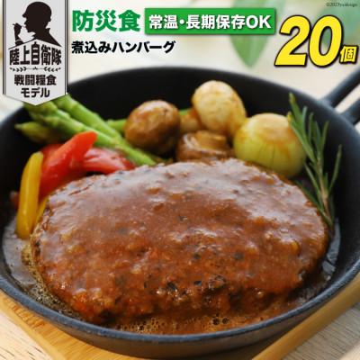 ふるさと納税 日向市 日本ハム 陸上自衛隊戦闘糧食モデル防災食 合計20個 煮込みハンバーグ