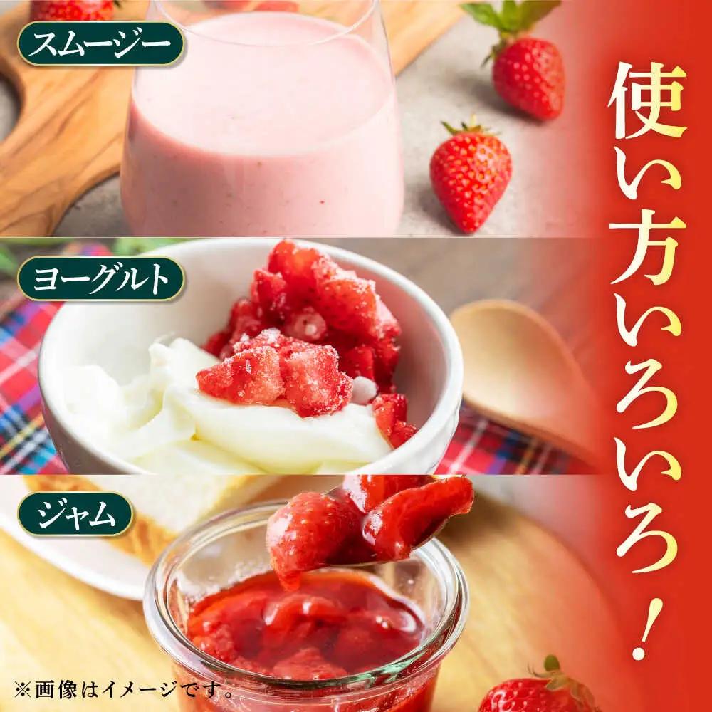 【12回定期便】高級 冷凍  いちご 加工用 約1kg（約500g×2袋）【伊藤農園】 果物 フルーツ イチゴ いちご 苺 熊本県 特産品 オーガニック 有機 恋みのり 冷凍 [ZBB017]
