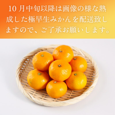 極早生みかん 約5kg 114-B1003