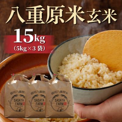 ふるさと納税 東御市 令和7年新米受付!八重原米15kg(5kg×3袋)玄米　※2025年10月以降順次発送|笹屋農園