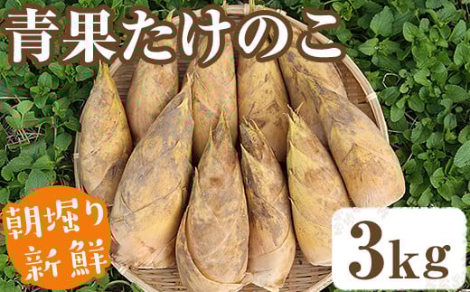 【平日着】＜先行予約受付中！2026年2月下旬以降順次発送予定＞朝堀り青果たけのこ(約3kg) 国産 新鮮 タケノコ 青果 竹の子 筍 野菜 春 旬 期間限定【上野食品】akn008-19-A