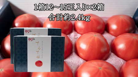 【2024年2月上旬発送開始】スーパーフルーツトマト てるて姫 中箱  約1.2kg×2箱 【12〜15玉/1箱】 糖度9度以上 ブランドトマト フルーツトマト トマト とまと [BC034sa]