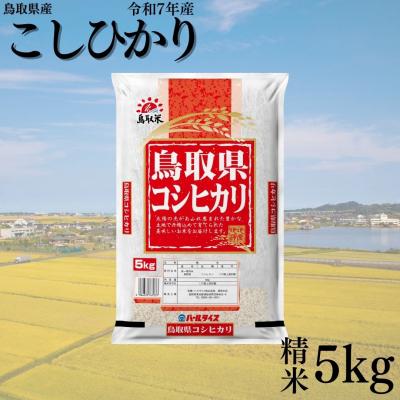 ふるさと納税 湯梨浜町 鳥取県産こしひかり◇精米5kg◇令和7年産(383KZ.)