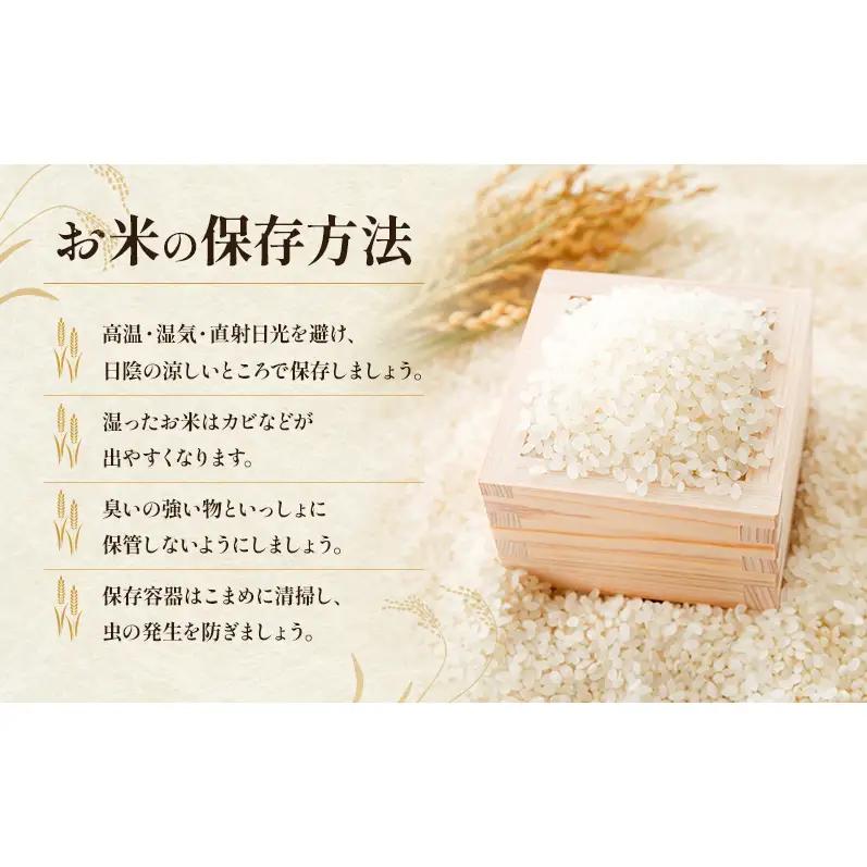 令和7年産　兵庫県産こしひかり　2kg×5袋