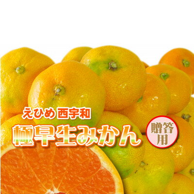 【ふるさと納税】みさき果樹園の極早生みかん5kg【C21-35】【1613814】