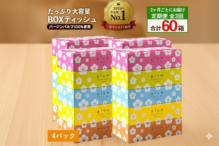 プラムファッション BOXティッシュ 5箱×2パック 合計10箱 ティッシュペーパー 定期便 全3回 2か月ごと