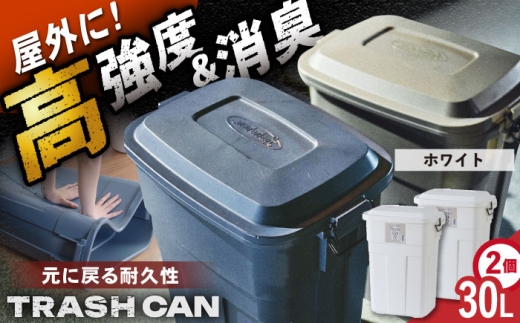 【ホワイト】トラッシュカン ゴミ箱 ふた付き 30L 2個組 / ごみ箱 ゴミ箱 ダストボックス 防臭 キッチン リビング 屋外 分別 岐阜県 / 恵那市 / 東谷株式会社 明智流通センター [AUAD069]