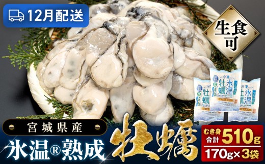 【12月配送】 宮城県産 かき 氷温熟成 牡蠣 生食用（冷凍）170g × 3袋 510g 生食 牡蠣むき身 小分け むき身 むき牡蠣 カキ オイスター 濃厚 冷凍かき 宮城 小分け 冷凍 バラバラ冷凍 冷凍カキ かき 牡蠣 海鮮 魚介 貝類 海の幸 BBQ 家庭用 まるたか水産 宮城県 石巻市 宮城 石巻