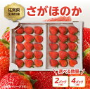 【ふるさと納税】【数量選べる】〈予約受付〉渡邉農園 佐賀県玄海町産さがほのか 1箱2パック or 2箱4パック（12月〜4月にお届け）／ 送料無料 さがほのか 苺 いちご イチゴ 希少 果物 くだもの フルーツ デザート 旬 1月配送 順次配送 予約受付