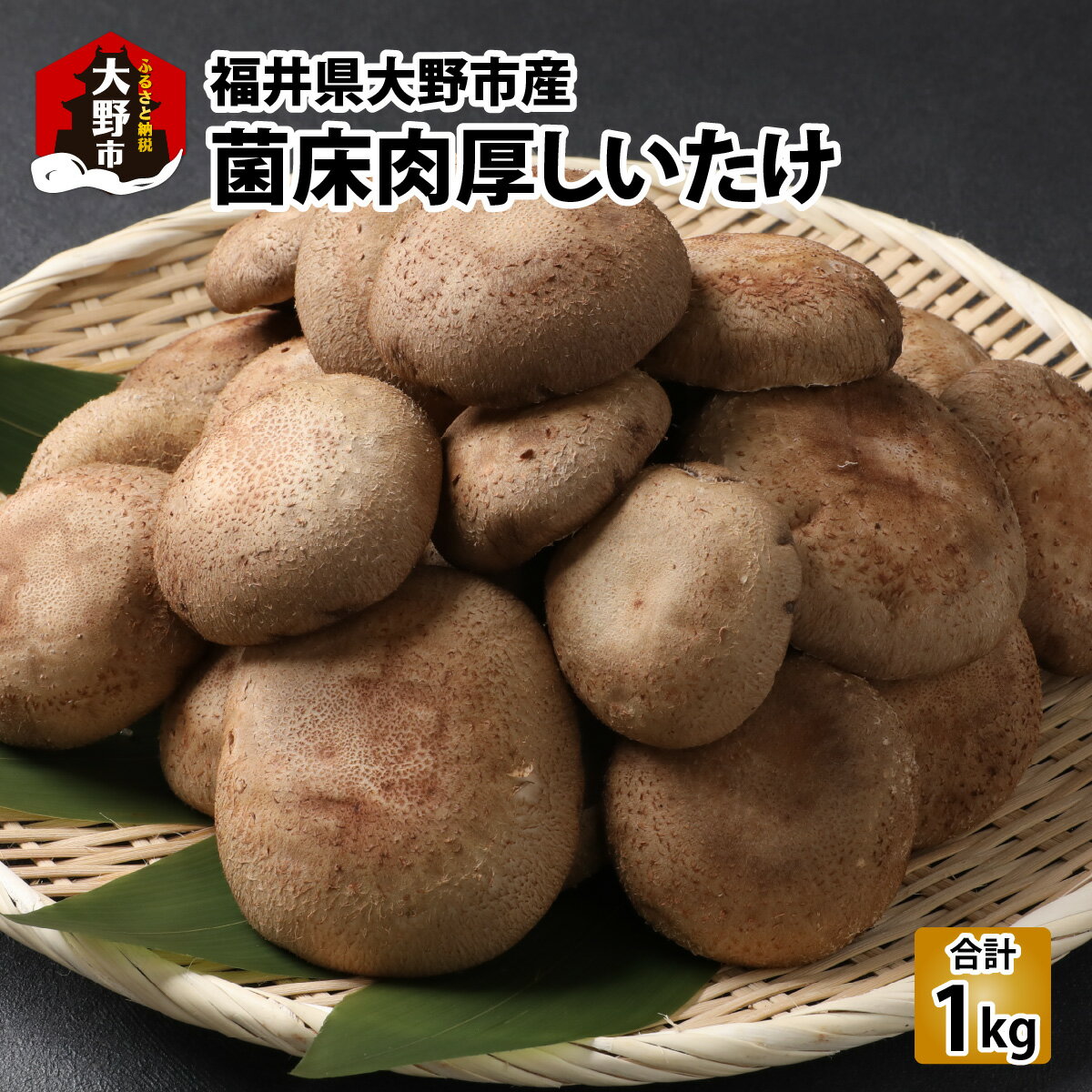 【ふるさと納税】菌床肉厚しいたけ（福井県大野市産）1kg[A-003019]