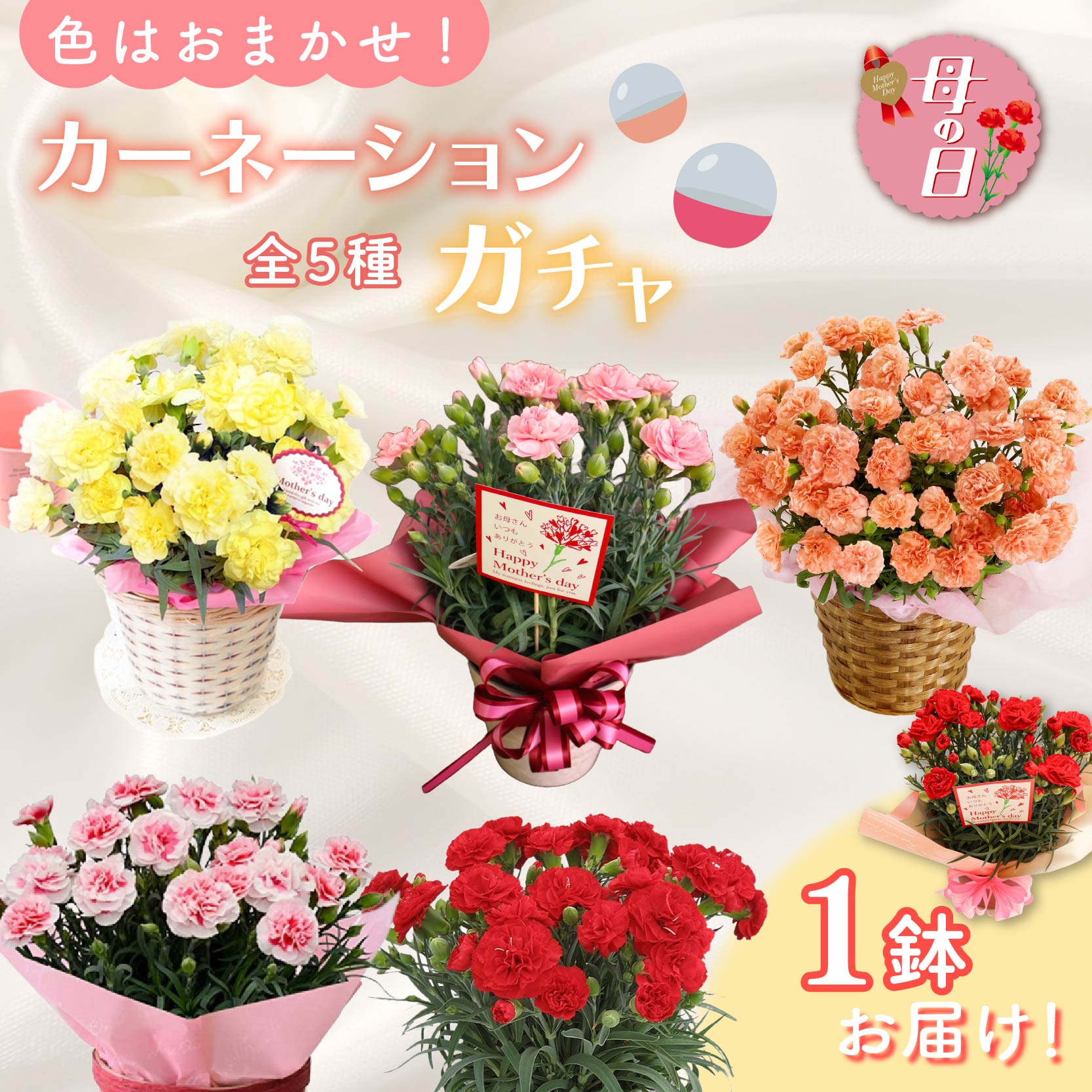 【ふるさと納税】 【先行予約】 母の日に！ 色おまかせ カーネーション ガチャ 鉢植え 5号 花 ギフト 贈り物 お祝い 植物 季節 生花 フラワー ギフト 母の日 2026年5月から順次発送 オンライン決済限定 静岡県 藤枝市