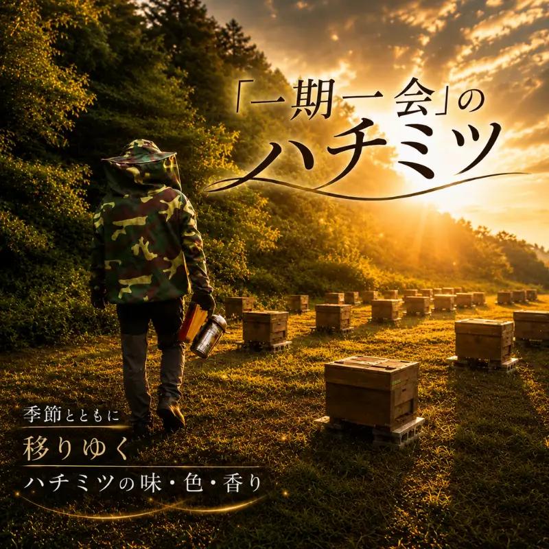 はちみつ 百花蜜 50g×4個 5月蜜 6月蜜 7月蜜 非加熱 産地直送 国産 一期一会 はちみつ 鹿嶋市