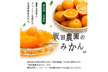 先行予約 みかん 約5kg 坂田農園 みかん