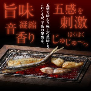 【旨味凝縮】玄界灘の贅沢干物6種セット