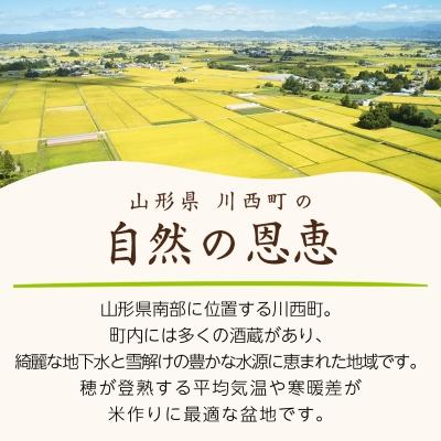 ふるさと納税 川西町 令和7年産　山形県産　はえぬき　玄米　10kg |  | 02