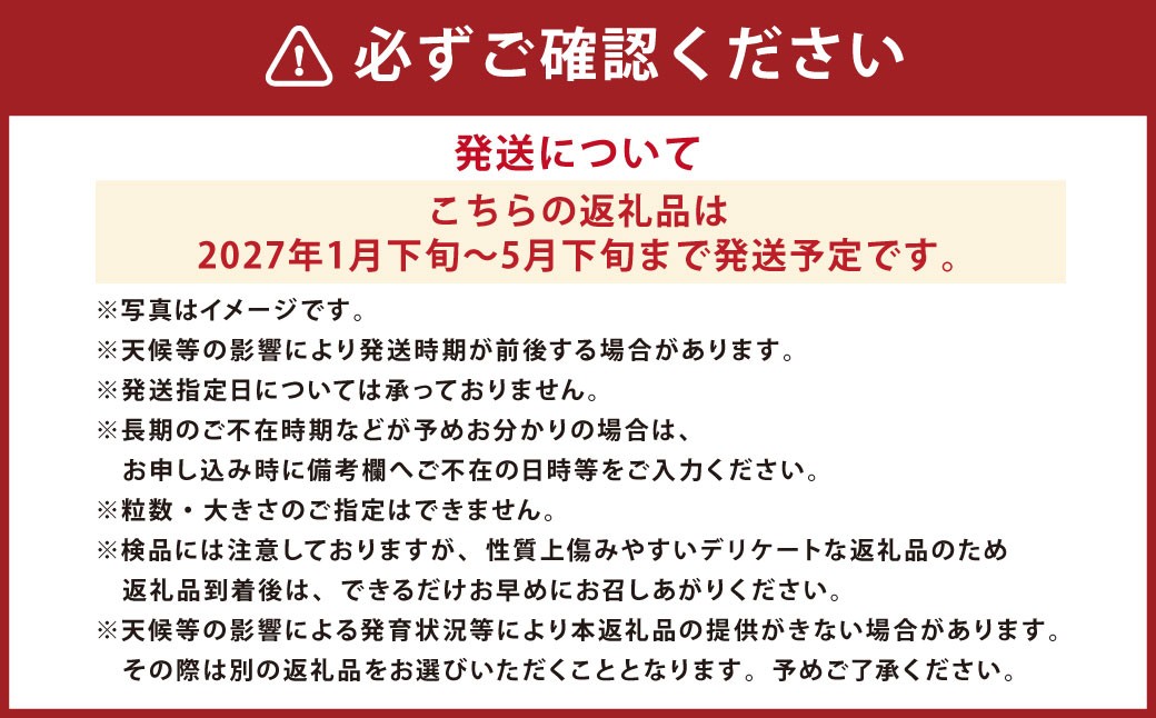 太陽の恵みを閉じ込めた真っ赤な大玉トマト2kg（熊本県産）