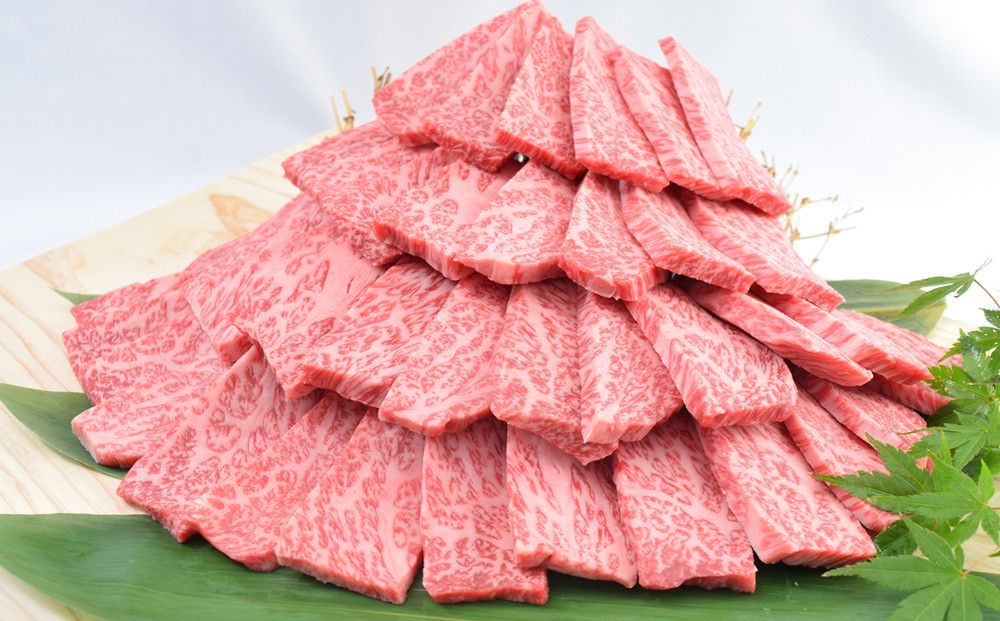 
            【焼肉用】「佐賀牛」ロース焼肉用 (900g)
          