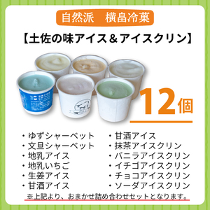 高知 名物 アイスクリン ふるさとの味アイス 12個セット ( ゆず 文旦 甘酒 ミルク いちごミルク 生姜 バニラ 抹茶 いちご チョコ ソーダ 人気 カップ スイーツ バラエティ おやつ 詰め合わ