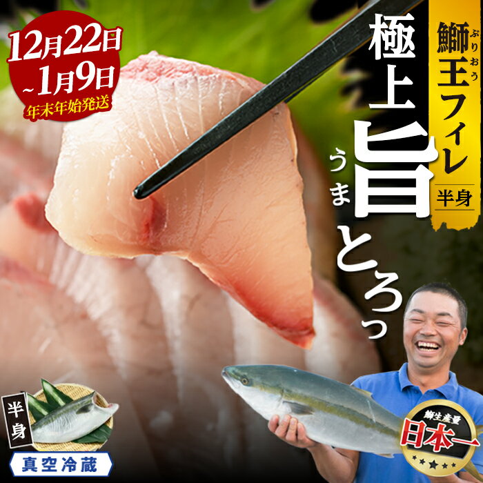 【ふるさと納税】＼年末年始発送 先行予約／【高評価 4.89】＜数量限定＞テレビで紹介ぶりの王様「 鰤王 」 選べる フィレ (半身) 冷蔵 真空パック ふるさと納税 ぶり 刺身 鰤 ぶりしゃぶ たたき 年末発送 贈答 ギフト 人気 ふるさと ブリ ランキング【JFA】_jfa-7f