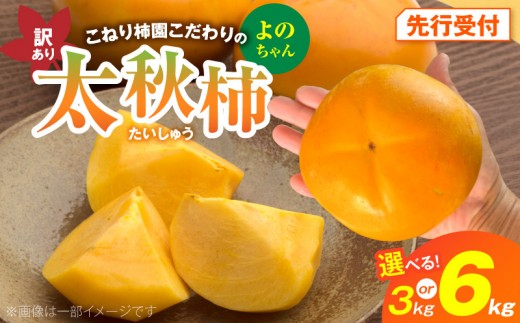
                  【先行受付】 訳あり 太秋柿 こねり柿園こだわりの『よのちゃん太秋柿』 KNR0308-SKU
                
