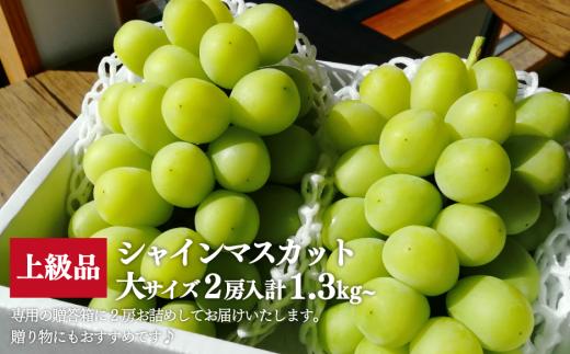 【2026年先行予約】シャインマスカット 特大２房入/計1.3kg~ (岡山県産) 【KF-B014-03】
