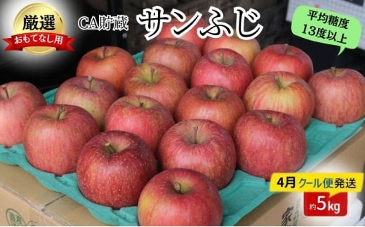 りんご 【4月クール便発送】 平均糖度13度以上 おもてなし用 家庭用 CA貯蔵 サンふじ 約 5kg 【 青森りんご 】 果物 フルーツ デザート 食後 おやつ シャキシャキ ジューシー りんごの王様