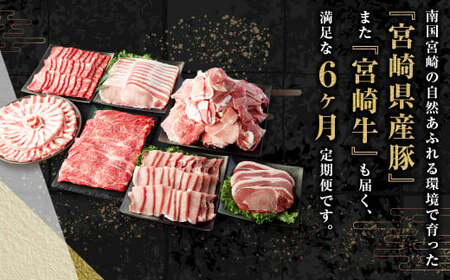 ＜ミヤチク 宮崎県豚・宮崎牛6ヶ月定期便＞※入金確認後、2ヶ月以内に順次出荷【c1313_mc】 総量13.2kg  牛肉 和牛 黒毛和牛 4等級以上 ブランド牛 肉 宮崎牛 豚肉  国産 小分け セ