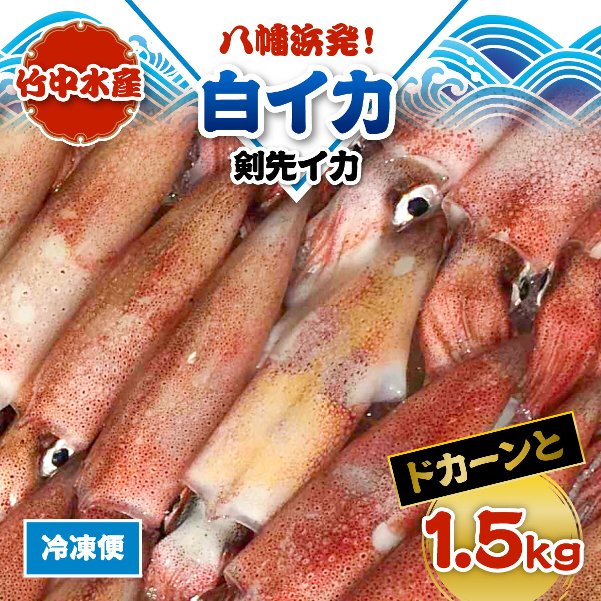 【ふるさと納税】【冷凍便】八幡浜発!「白イカ(剣先イカ)」ドカーンと1.5kg!【D22-217】_ いか イカ 白いか 剣先いか 海鮮 魚介 魚介類 刺身 送料無料 【配送不可地域：離島】【1043152】YWTM035