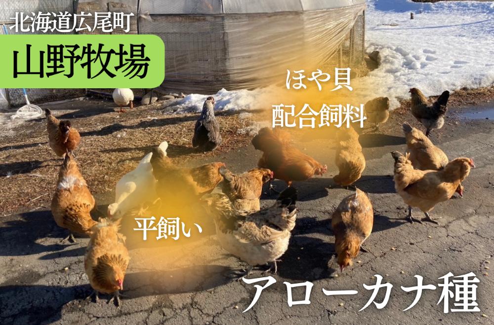 十勝の塩シフォンケーキ（プレーン）