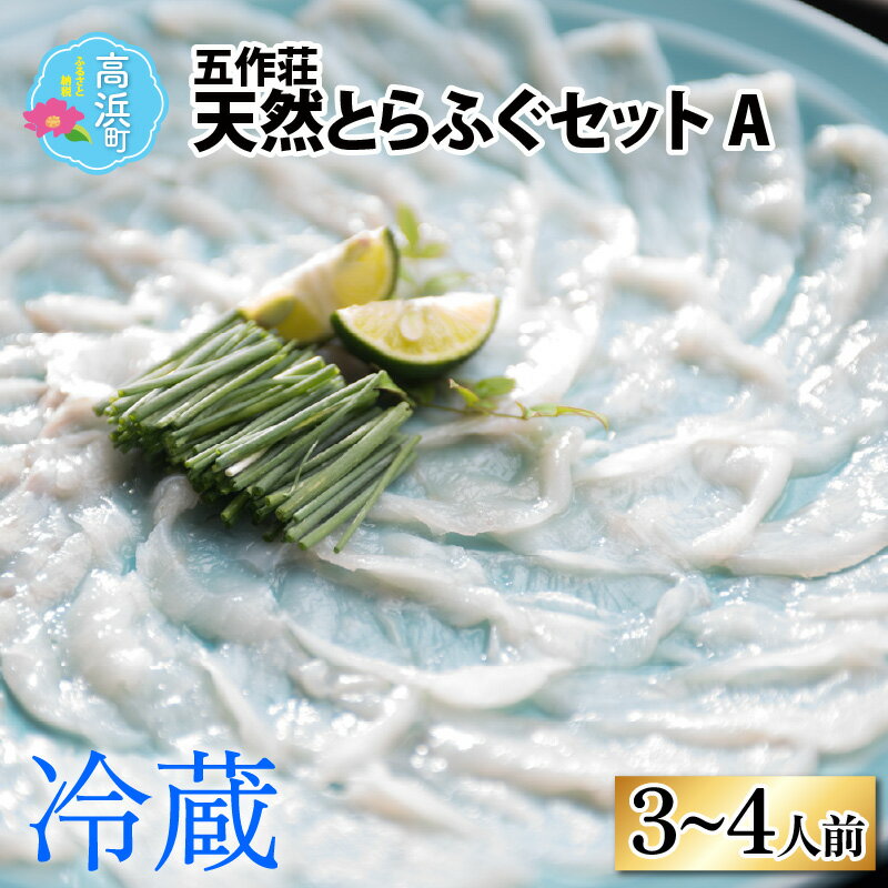 【ふるさと納税】【先行予約】【福井県産 天然とらふぐ】五作荘 天然とらふぐセットA 3～4人前｜ふぐ てっさ てっちり ふぐ刺し ふぐ鍋 福の子 刺身 低カロリー ギフト 贈り物 コンシェルジュ 送料無料 [J-008001]