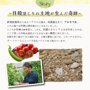 ＜先行予約受付中！2026年2月下旬～4月上旬の間に発送予定＞＜期間限定＞ミニトマト(約1.5kg)とスナップエンドウ(約1kg)野菜 とまと えんどう豆 フルーツトマト サンチェリーピュア ダルタリ