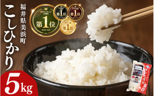 【先行予約】【令和7年産】コシヒカリ 5kg 美浜町産こしひかり 【2026年4月下旬発送予定】 発送月 精米 福井県 美浜町産 特A 白米 こめ コメ お米 おこめ こしひかり 5キロ 高レビュー 人気 米 高評価 おすすめ 国産 [m60-a018_04]