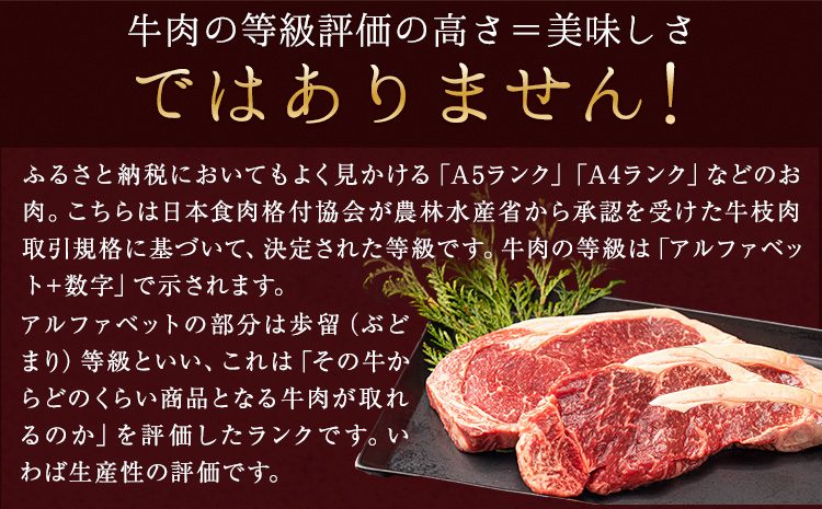 ステーキ 赤身 牛肉 サーロインステーキ 肉 あか牛 小分け 熊本県産 500g 赤牛《30日以内に出荷予定(土日祝除く)》---mna_faksir_30d_r8_13500_500g---