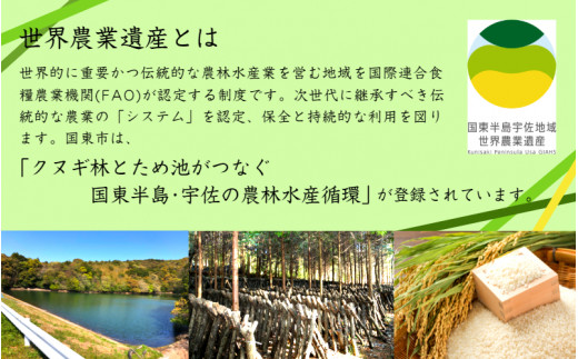 乾し椎茸 冬菇180g（国東半島宇佐地域世界農業遺産ブランド認証品）(1886R)_イメージ2