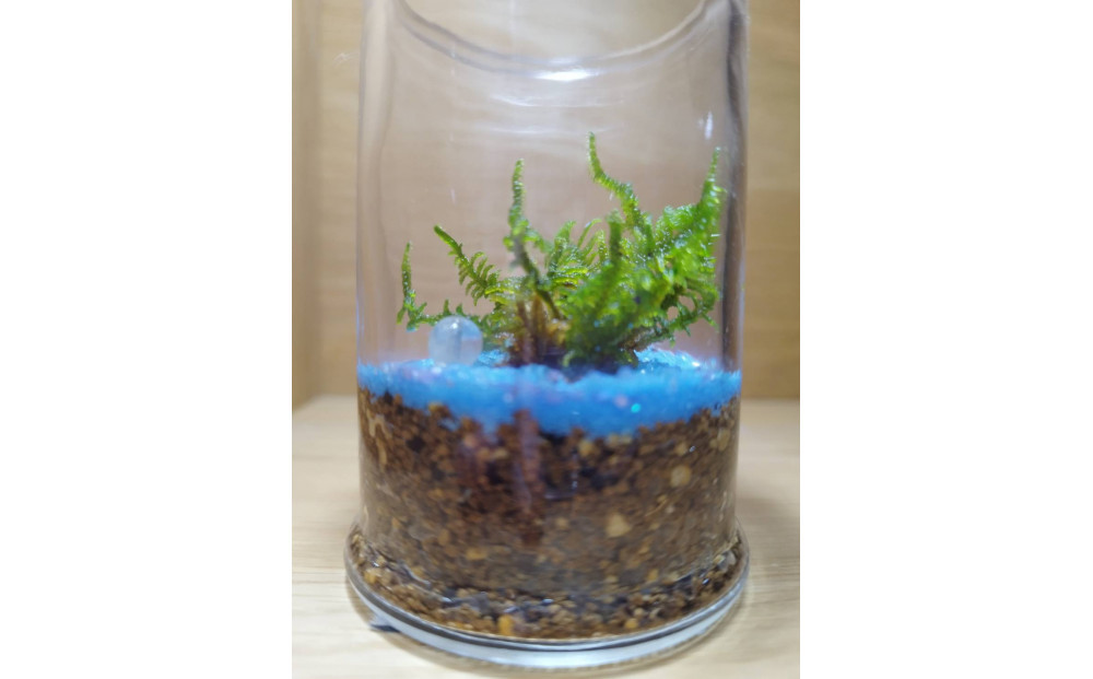 KOBE　COLORS　～STONE & MOSS～