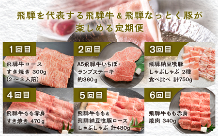 【定期便6回】 飛騨牛 ＆ なっとく豚 ブランド肉 定期便 6回 牛肉 豚肉 (ステーキ / すき焼き / しゃぶしゃぶ / 焼き肉) カルビ イチボ お楽しみ 下呂温泉 おすすめ ブランド牛 赤身 