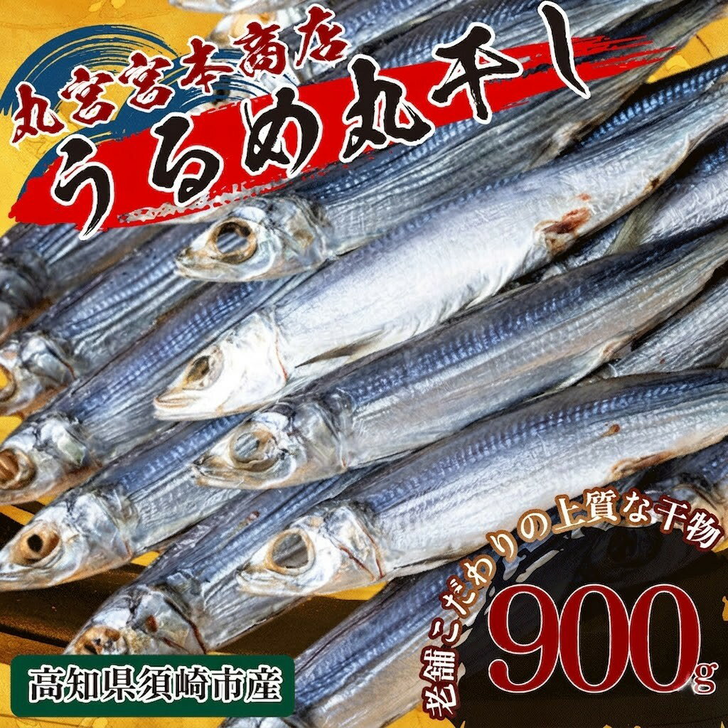 【ふるさと納税】 うるめいわし 900g 干物 本場 高知産 鰯 煮干し 真いわし 真鰯 稚魚 おやつ 乾物 魚介 加工品 高知県 須崎市 MMY003